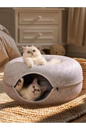  طوسی Knock Knock - کد 926698190
