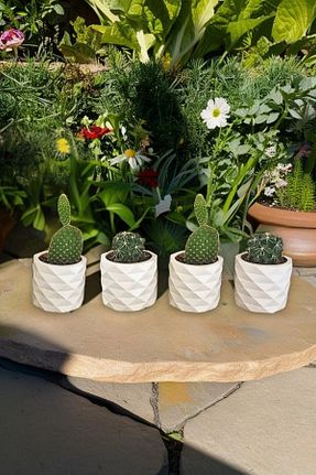 گلدان سفید decoronay - کد 927086254