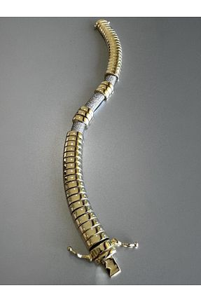 دستبند استیل (فولاد) زرد زنانه روکش طلا neslyaccessories - کد 927422349