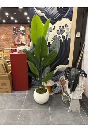 گل خشک و مصنوعی نباتی İremÇiçekçilik - کد 927652890