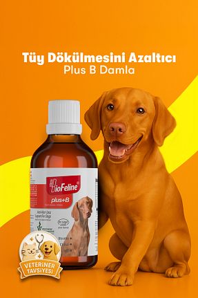  BioFeline - کد 73291271