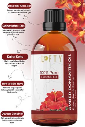  Lofty - کد 272121685