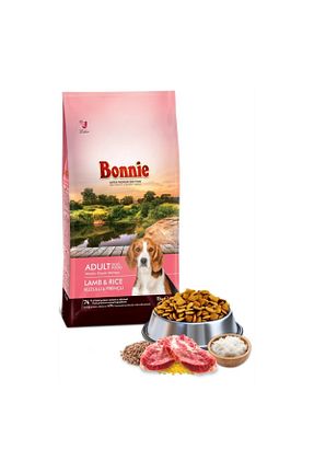  Yetişkin (1 - 7 سال) Bonnie - کد 301802980
