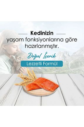 غذای خشک گربه خیر Mercy - کد 545385252