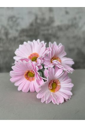گل خشک و مصنوعی صورتی lavissa - کد 927921085