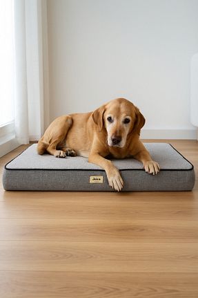  طوسی Jungolica Pet Products - کد 804327267
