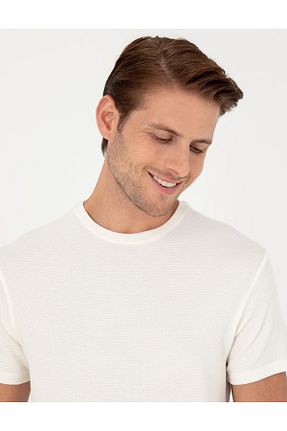 تیشرت نباتی مردانه اسلیم فیت Pierre Cardin - کد 928133435