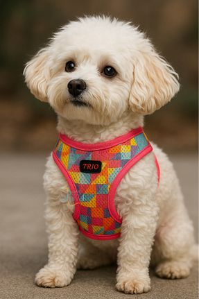  رنگی Pets Carnival - کد 925301568