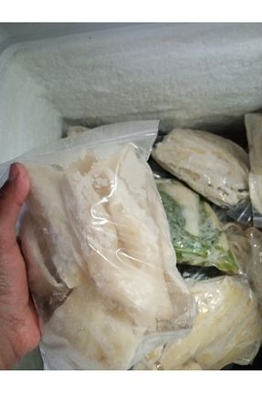 بذر و گیاه SEGE homemade - کد 926966519
