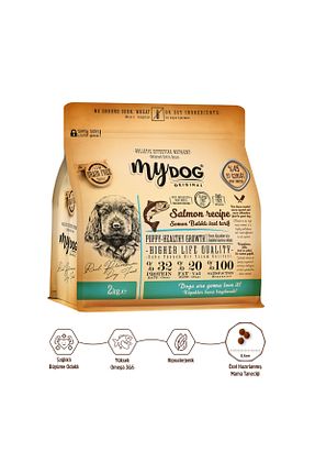  Orta (11 - 25 kg) mydog - کد 34983917