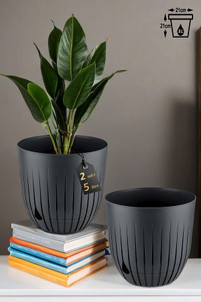 گلدان طوسی ToXA - کد 901553317