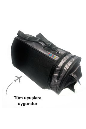  طوسی pawingo - کد 928642542