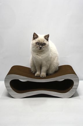  قهوه ای Lazy Paws - کد 929624206