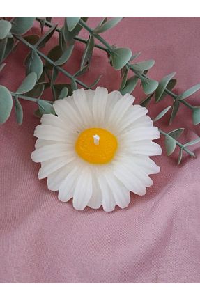 سبد هدیه sihirli kutular - کد 897956694
