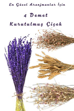 گل خشک و مصنوعی رنگی EL İŞİ DİY CRAFT - کد 929746975