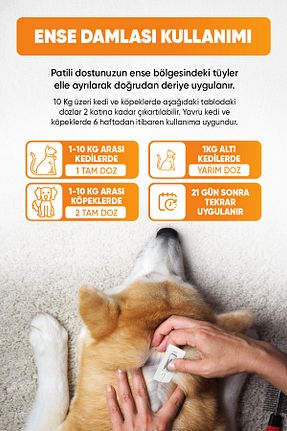  bominy pet - کد 930476538
