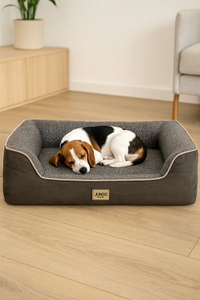  طوسی Jungolica Pet Products - کد 804327231