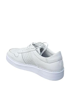 کفش اسنیکر نباتی مردانه چرم اصل Greyybull Shoes - کد 930171848
