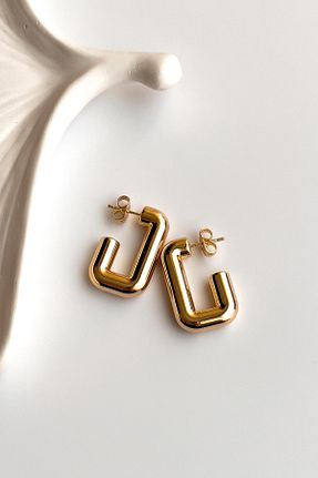 گوشواره استیل (فولاد) بژ زنانه استیل (فولاد) Radino Collection - کد 873705673