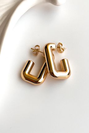 گوشواره استیل (فولاد) بژ زنانه استیل (فولاد) Radino Collection - کد 873705673