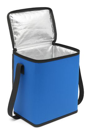 خنک کننده و فریزر آبی 25-29,9 L Ankaflex - کد 683083868