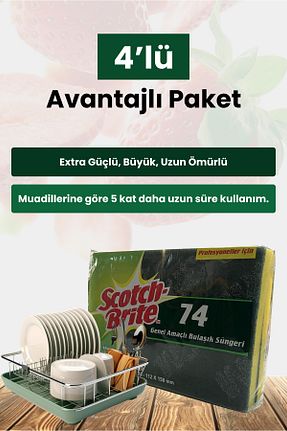 اسفنج و برس ظرف Scotch Brite - کد 881936263