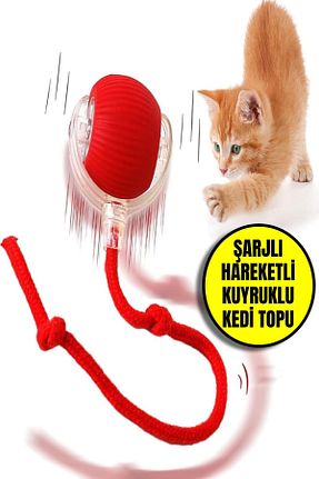  قرمز TOYFEST - کد 922797658