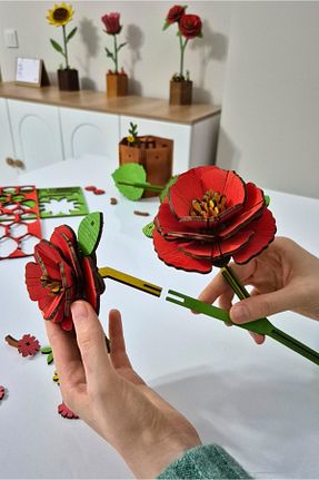 هدیه مفهومی kalides - کد 931964938