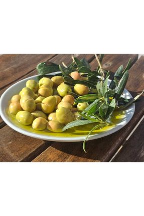 زیتون سبز Kadir Bayrak Zeytincilik - کد 932612947