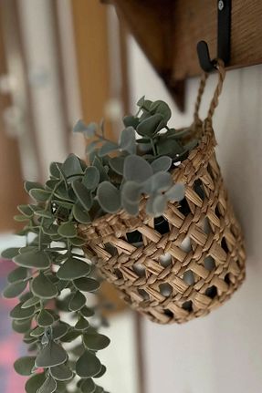 گلدان خاکی Genel Markalar - کد 773045489