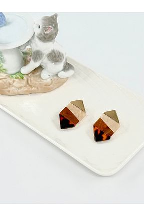 گوشواره استیل (فولاد) قهوه ای زنانه استیل ضد زنگ Celion Jewelry - کد 932110171