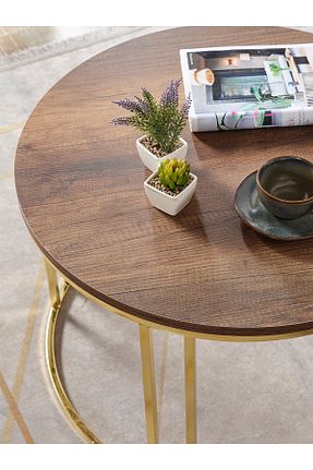 میز جلو مبلی قهوه ای Suntalam SEDAŞ LIVING UNITS - کد 897255427