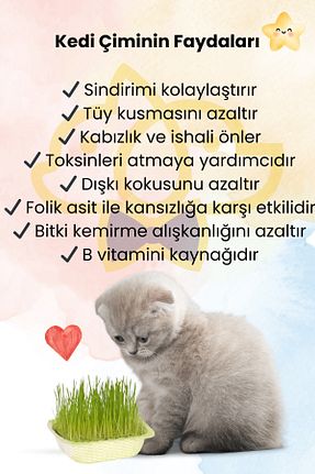  PAPYONPETSHOP - کد 896675931