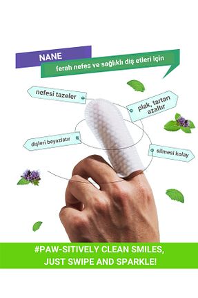 دستمال مرطوب حیوان خانگی Greenwich Zero Point of Beauty - کد 814550048