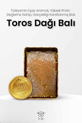 عسل Toros Dağı - کد 458920122