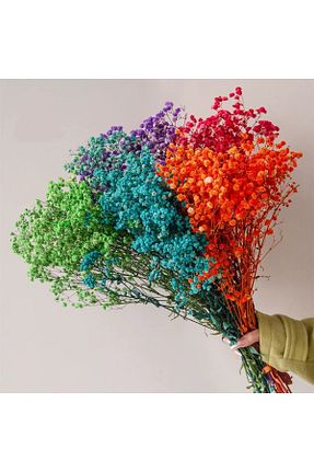 گل خشک و مصنوعی رنگی HOBİ - کد 931577972
