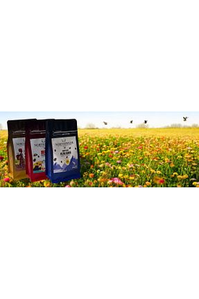 قهوه فیلتر و دانه Northerner Coffee - کد 926170506
