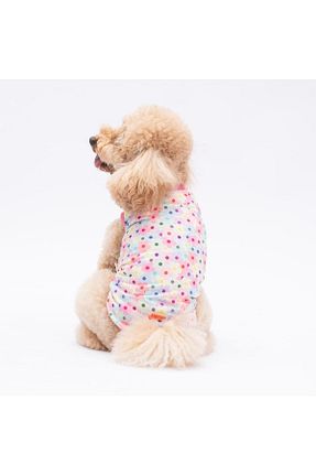  رنگی Pawstar - کد 932632213