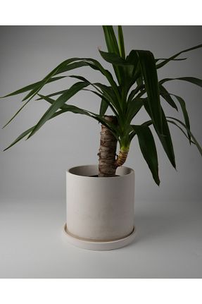 گلدان رنگی Kaju Creative - کد 932948460