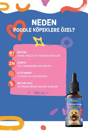  Patilex - کد 904907381