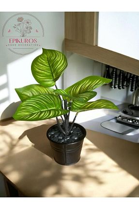 گل خشک و مصنوعی سبز Epikuros - کد 933165296