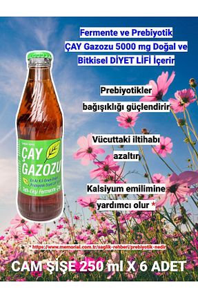 نوشیدنی کاربردی Çay Gazozu - کد 924120071