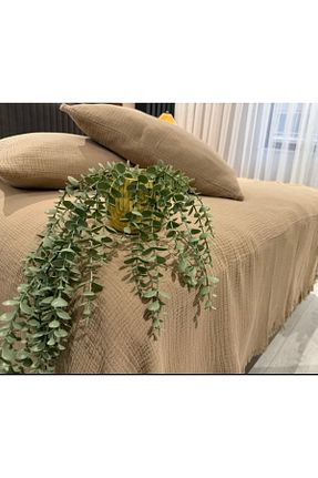 روتختی دونفره بژ پنبه ای Almir Home - کد 934114411