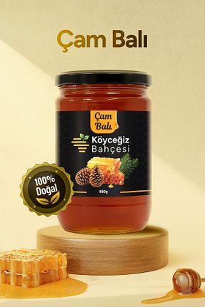 عسل Köyceğiz Bahçesi - کد 924104627