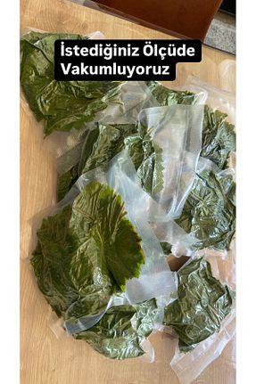 برگ درخت انگور TANSU ŞAHAL - کد 933356877