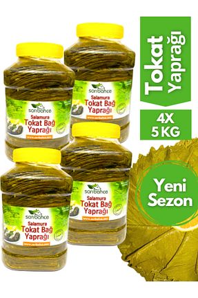 برگ درخت انگور Sarıbahçe - کد 77945527