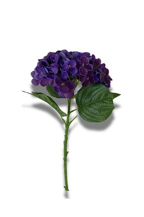 گل خشک و مصنوعی بنفش NilCan Flora - کد 933156802