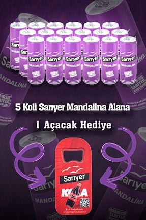 سودا Sarıyer Gazoz - کد 63157571