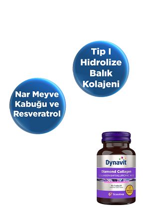  Dynavit - کد 33645113