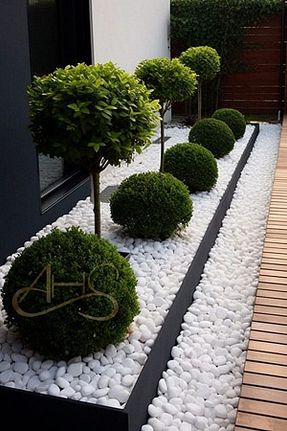 دکوراسیون و اکسسوری اکواریوم AHS - کد 771664233